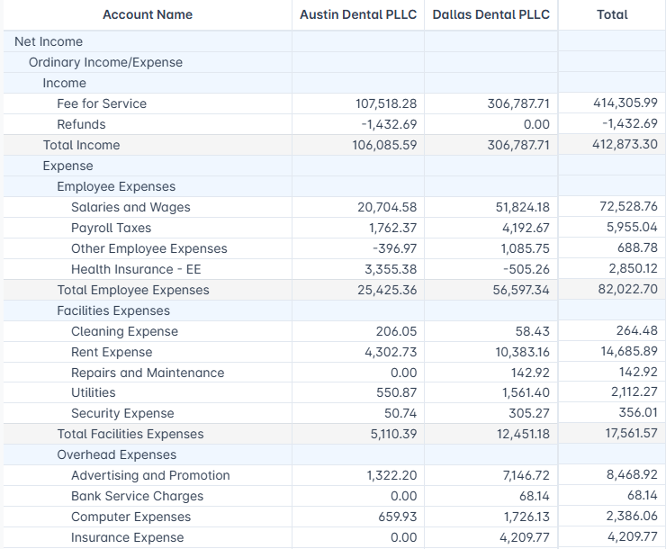 Combined profit and loss with a column per entity and a total column
